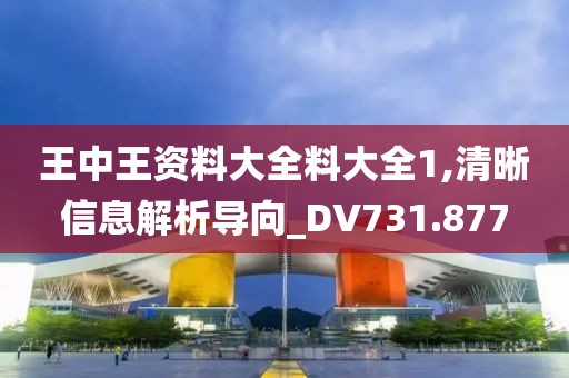 王中王資料大全料大全1,清晰信息解析導(dǎo)向_DV731.877