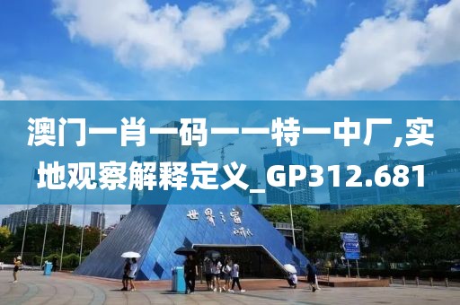 澳門(mén)一肖一碼一一特一中廠,實(shí)地觀察解釋定義_GP312.681