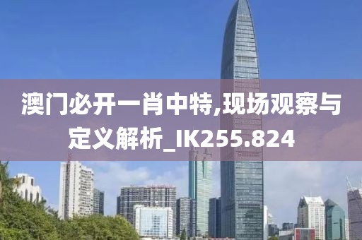 澳門必開(kāi)一肖中特,現(xiàn)場(chǎng)觀察與定義解析_IK255.824