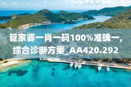 管家婆一肖一碼100%準(zhǔn)確一,綜合診斷方案_AA420.292