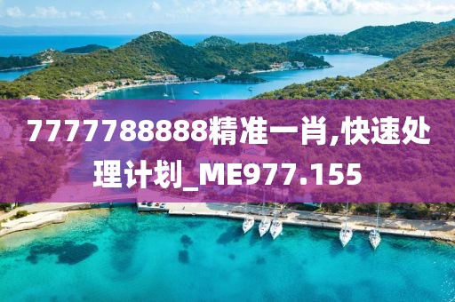 7777788888精準(zhǔn)一肖,快速處理計(jì)劃_ME977.155
