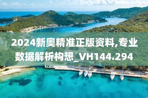 2024新奧精準(zhǔn)正版資料,專業(yè)數(shù)據(jù)解析構(gòu)想_VH144.294