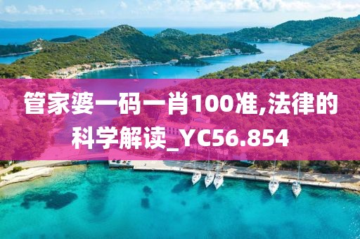 管家婆一碼一肖100準(zhǔn),法律的科學(xué)解讀_YC56.854
