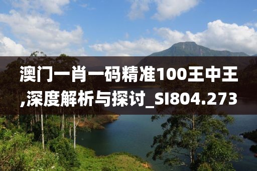 澳門一肖一碼精準100王中王,深度解析與探討_SI804.273