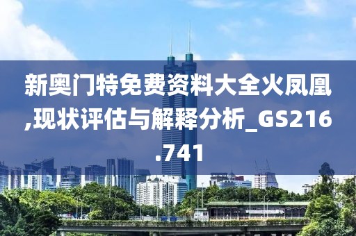 新奧門特免費資料大全火鳳凰,現(xiàn)狀評估與解釋分析_GS216.741