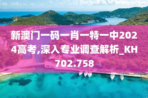 新澳門一碼一肖一特一中2024高考,深入專業(yè)調(diào)查解析_KH702.758