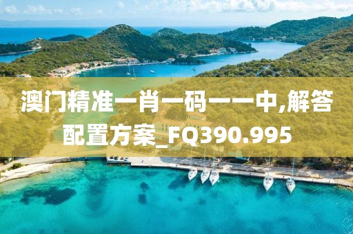 澳門精準一肖一碼一一中,解答配置方案_FQ390.995