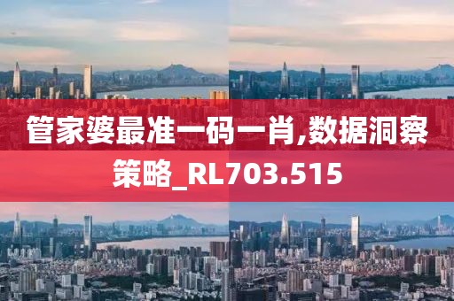 管家婆最準(zhǔn)一碼一肖,數(shù)據(jù)洞察策略_RL703.515