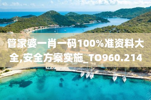 管家婆一肖一碼100%準資料大全,安全方案實施_TO960.214