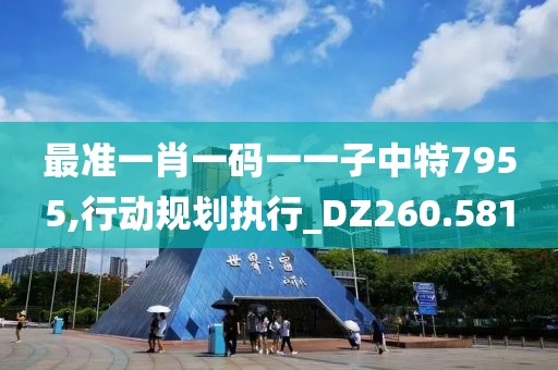 最準一肖一碼一一子中特7955,行動規(guī)劃執(zhí)行_DZ260.581