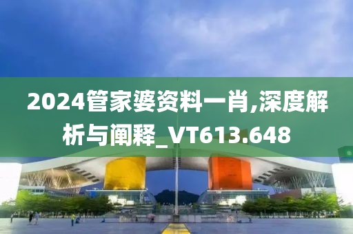 2024管家婆資料一肖,深度解析與闡釋_VT613.648