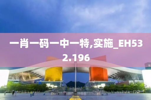 一肖一碼一中一特,實(shí)施_EH532.196
