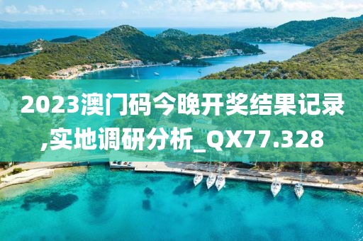 2023澳門碼今晚開獎結(jié)果記錄,實(shí)地調(diào)研分析_QX77.328