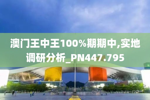 澳門王中王100%期期中,實(shí)地調(diào)研分析_PN447.795
