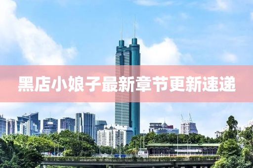 黑店小娘子最新章節(jié)更新速遞