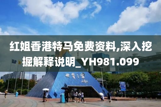紅姐香港特馬免費(fèi)資料,深入挖掘解釋說明_YH981.099