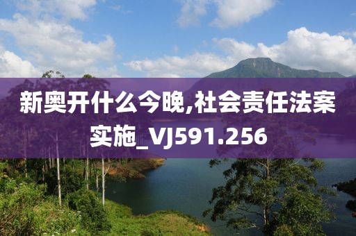 新奧開什么今晚,社會(huì)責(zé)任法案實(shí)施_VJ591.256