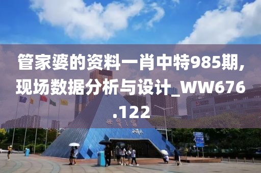 管家婆的資料一肖中特985期,現(xiàn)場數(shù)據(jù)分析與設(shè)計_WW676.122