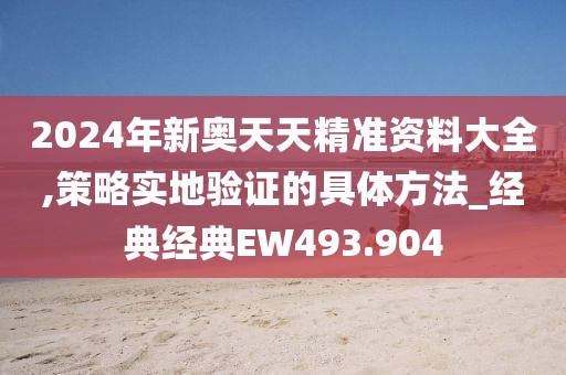 2024年新奧天天精準(zhǔn)資料大全,策略實(shí)地驗(yàn)證的具體方法_經(jīng)典經(jīng)典EW493.904