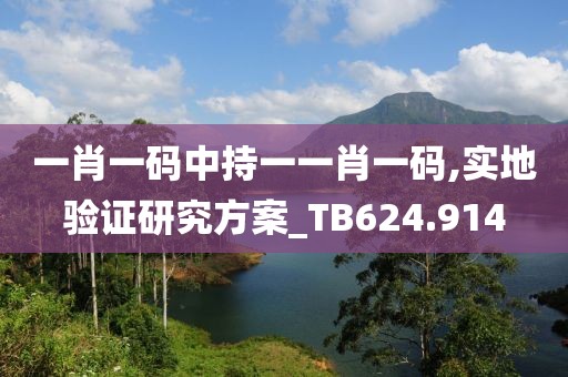 一肖一碼中持一一肖一碼,實地驗證研究方案_TB624.914