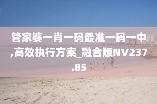 管家婆一肖一碼最準(zhǔn)一碼一中,高效執(zhí)行方案_融合版NV237.85