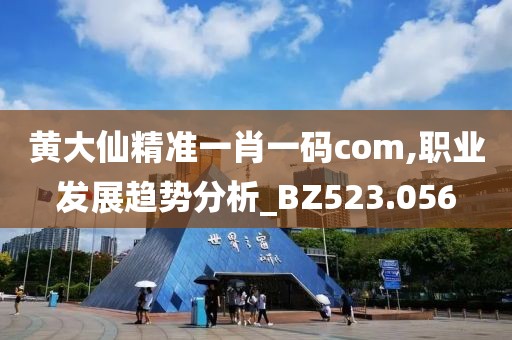 黃大仙精準(zhǔn)一肖一碼com,職業(yè)發(fā)展趨勢分析_BZ523.056