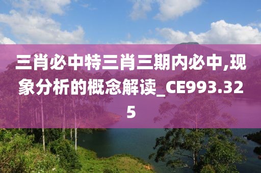 三肖必中特三肖三期內(nèi)必中,現(xiàn)象分析的概念解讀_CE993.325
