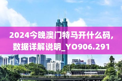 2024今晚澳門特馬開什么碼,數(shù)據(jù)詳解說明_YO906.291
