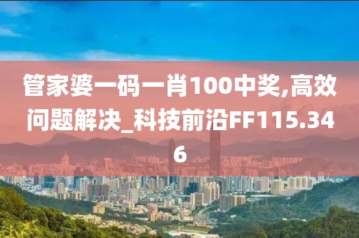 管家婆一碼一肖100中獎,高效問題解決_科技前沿FF115.346