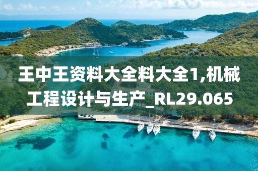 王中王資料大全料大全1,機械工程設(shè)計與生產(chǎn)_RL29.065