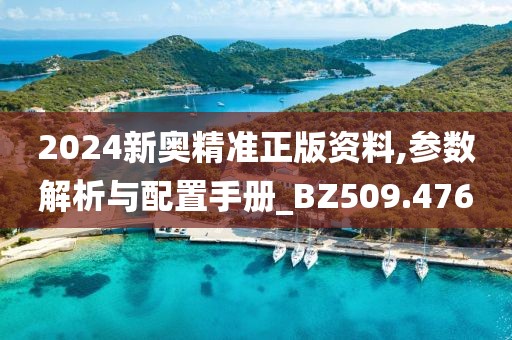 2024新奧精準(zhǔn)正版資料,參數(shù)解析與配置手冊(cè)_BZ509.476