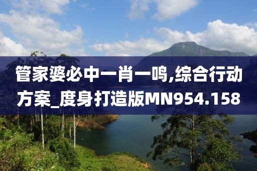 管家婆必中一肖一鳴,綜合行動方案_度身打造版MN954.158