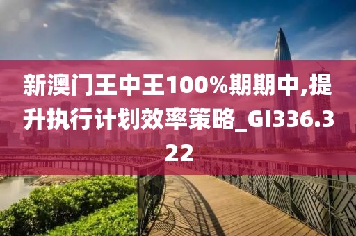 新澳門王中王100%期期中,提升執(zhí)行計劃效率策略_GI336.322