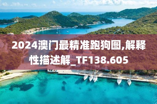 2024澳門(mén)最精準(zhǔn)跑狗圖,解釋性描述解_TF138.605