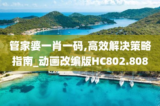 管家婆一肖一碼,高效解決策略指南_動畫改編版HC802.808