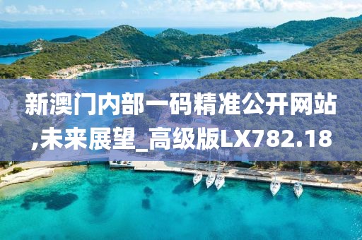 新澳門內(nèi)部一碼精準(zhǔn)公開網(wǎng)站,未來展望_高級(jí)版LX782.18