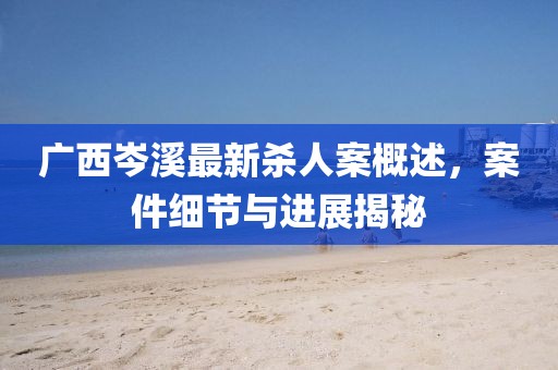 廣西岑溪最新殺人案概述，案件細(xì)節(jié)與進(jìn)展揭秘