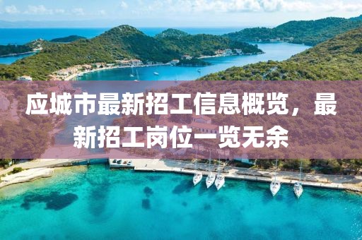 應(yīng)城市最新招工信息概覽，最新招工崗位一覽無余