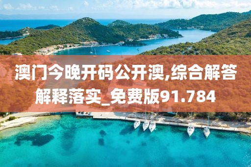 澳門今晚開碼公開澳,綜合解答解釋落實_免費版91.784
