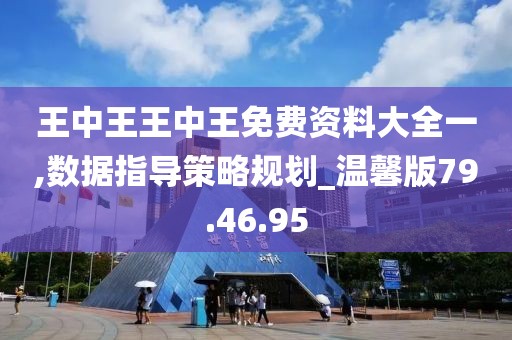 王中王王中王免費(fèi)資料大全一,數(shù)據(jù)指導(dǎo)策略規(guī)劃_溫馨版79.46.95