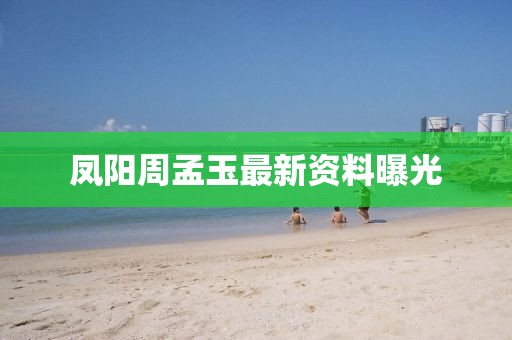 鳳陽周孟玉最新資料曝光