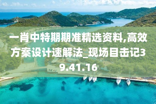 一肖中特期期準(zhǔn)精選資料,高效方案設(shè)計速解法_現(xiàn)場目擊記39.41.16