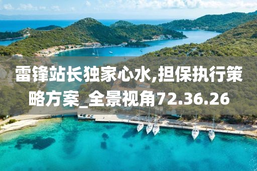 雷鋒站長(zhǎng)獨(dú)家心水,擔(dān)保執(zhí)行策略方案_全景視角72.36.26