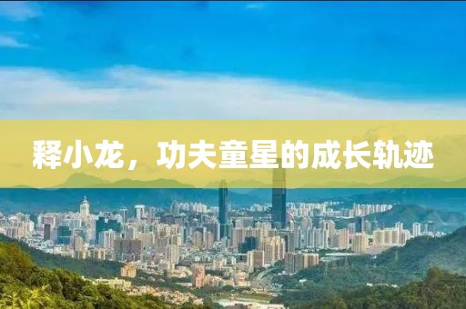釋小龍，功夫童星的成長軌跡