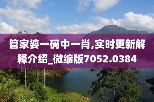 管家婆一碼中一肖,實(shí)時(shí)更新解釋介紹_微縮版7052.0384