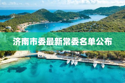 濟(jì)南市委最新常委名單公布
