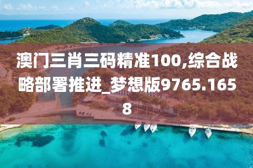 澳門(mén)三肖三碼精準(zhǔn)100,綜合戰(zhàn)略部署推進(jìn)_夢(mèng)想版9765.1658