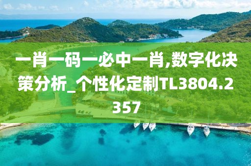 一肖一碼一必中一肖,數(shù)字化決策分析_個(gè)性化定制TL3804.2357