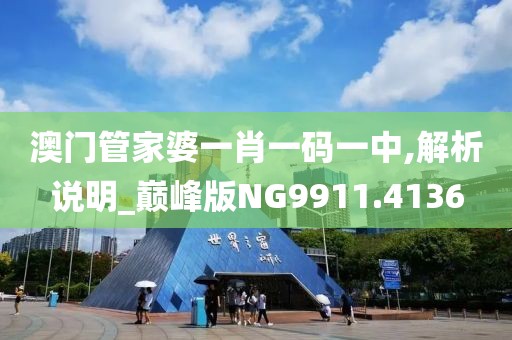 澳門管家婆一肖一碼一中,解析說明_巔峰版NG9911.4136