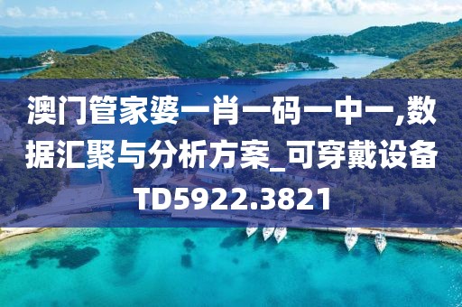 澳門管家婆一肖一碼一中一,數(shù)據(jù)匯聚與分析方案_可穿戴設(shè)備TD5922.3821